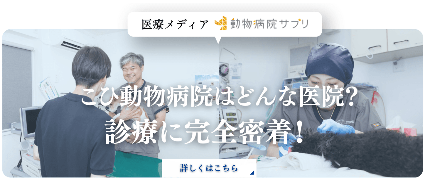 こひ動物病院体験レビュー【医院紹介編】